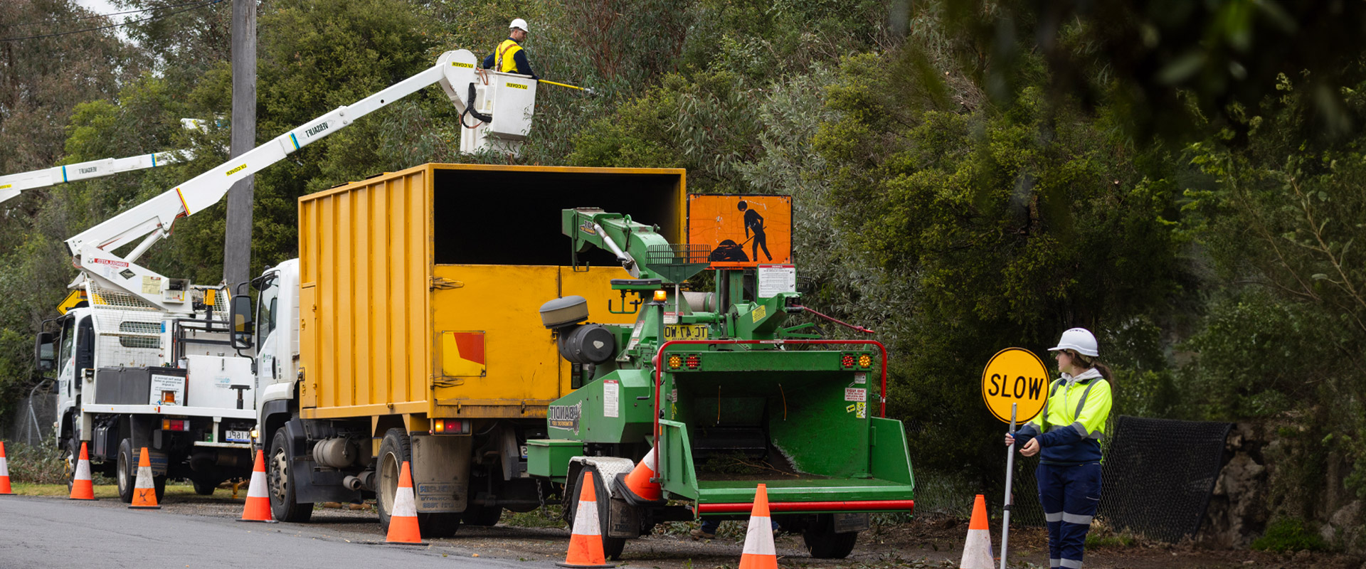 Tree Mulching Ipswich