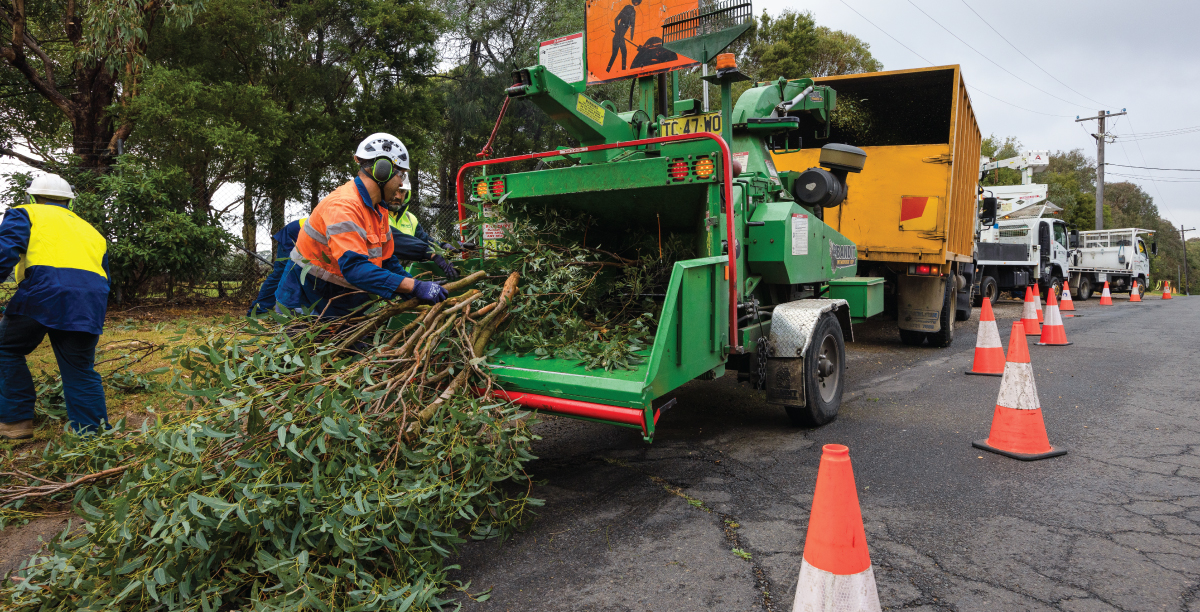 Active Tree Services | Chippers
