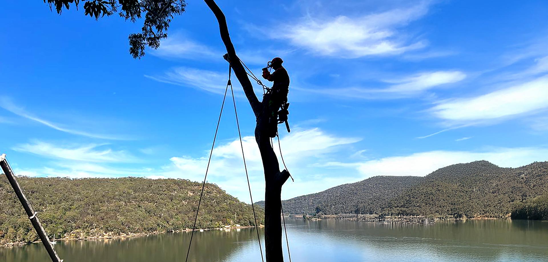 Active Tree Services move to Australia — arborist and tree climber jobs from New Zealand