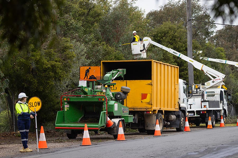 Active Tree Services Australian lifestyle